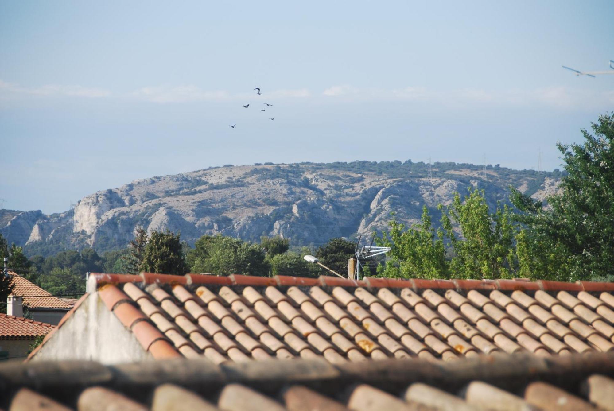 Готель Les Volets Bleus Provence Салон-де-Прованс Екстер'єр фото